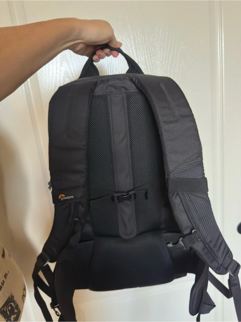 LowePro Fast pack BP 250 AW II